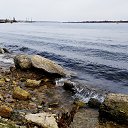 ���� Lyubov, ������ - ��������� 23 ������� 2022 � ������ ���� ����������