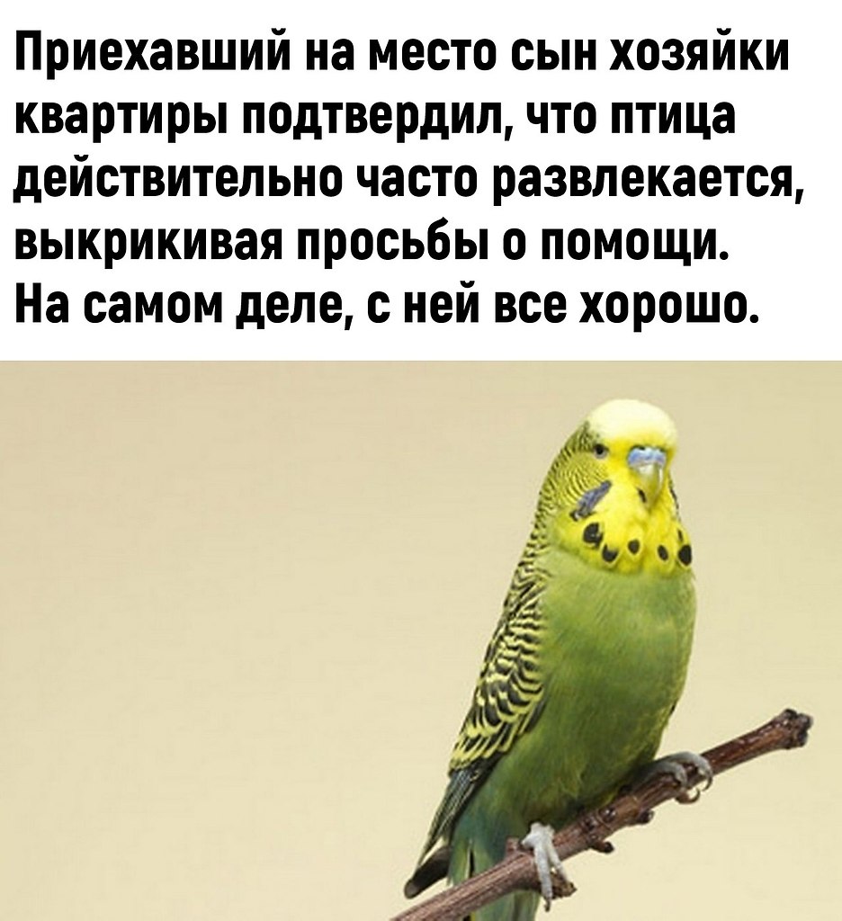 ,    - 3