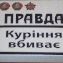 Фото Александр, Санкт-Петербург, 26 лет Александр, Санкт-Петербург, 26 лет