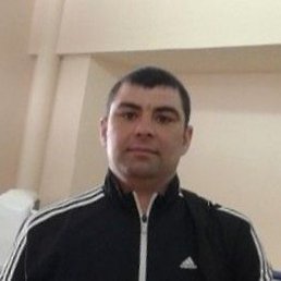 , , 41 
