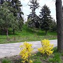 ���� �������, ������-��-����, 68 ��� - ��������� 25 ������ 2022