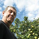 ���� ���������, ������������, 79 ��� - ��������� 11 ������� 2023