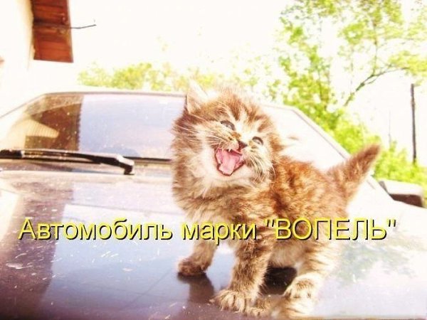 ��� �������� �������� - 12 ��� 2022 � 06:12