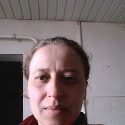 , 38 , 