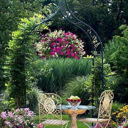 Amir, ����, 69 ���