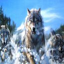 ���� ��, ������, 37 ��� - ��������� 21 ������ 2022 � ������ ���� ����������