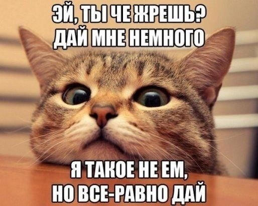    - 16  2022  14:41