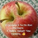  , , 52  -  31  2023    
