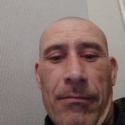 �����, ������, 40 ���