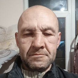, , 44 