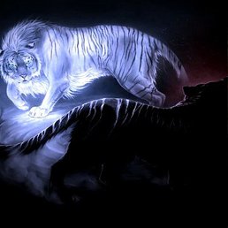 �������, ����������, 51 ���