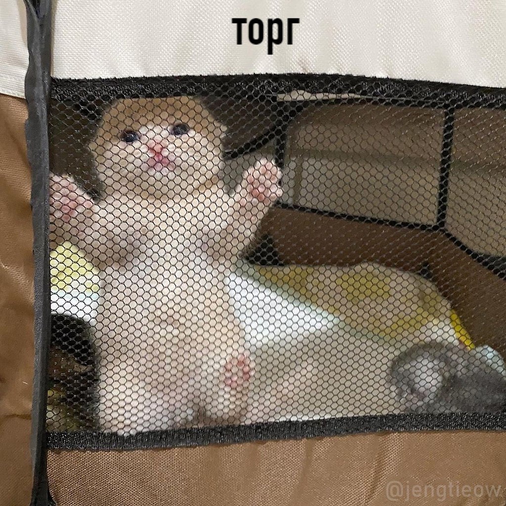    : - 3