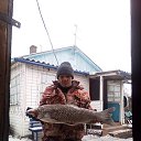 ���� ������, ���������, 57 ��� - ��������� 15 ������� 2022