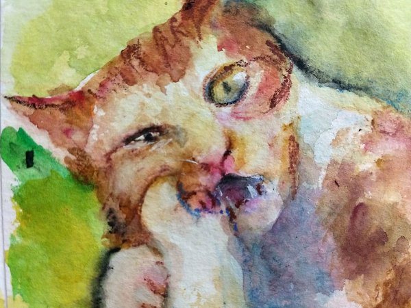 Обаятельный акварельный котик от Сафиной Юли.© Школа Рисования - 4