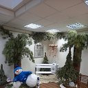 ���� �����, �����, 86 ��� - ��������� 29 ������ 2023 � ������ ���� ����������