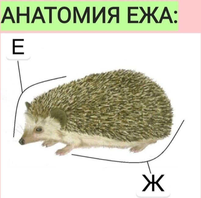     :)