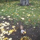 ���� �����, ���� - ��������� 12 ������ 2022 � ������ ���� ����������