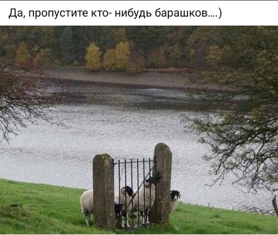   - 9  2023  06:41
