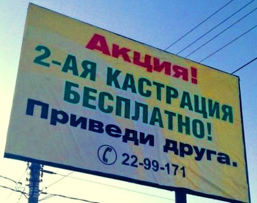     .       ,   : ... - 9