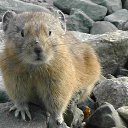 ���� Sergey, ������, 67 ��� - ��������� 25 ������ 2023 � ������ ���� ����������