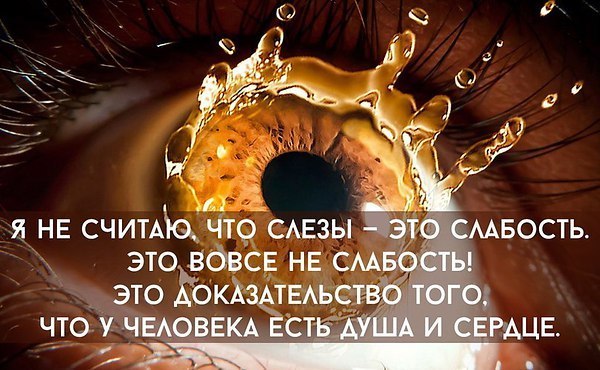 Lunapet - 4  2022  12:16