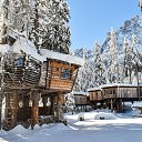 ���� �����, ����, 40 ��� - ��������� 1 ������� 2022 � ������ ����� 2022 (17:12 1/12/2022)�