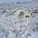 ���� Anatolij, �����, 74 ���� - ��������� 18 ������� 2023 � ������ ���� ����������