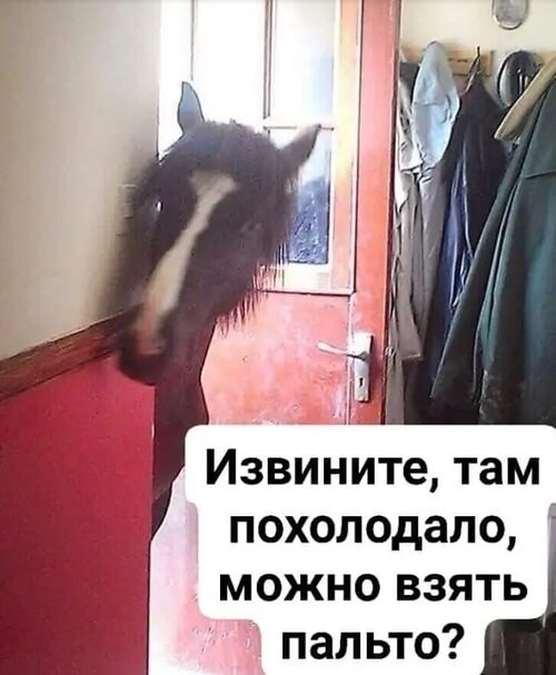   - 19  2022  14:57