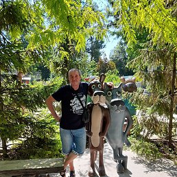 �����, �����������, 51 ���