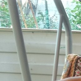 ���������, ������-��-����, 43 ����