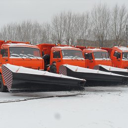 ���� ������, ����, 60 ��� - ��������� 20 ������� 2023