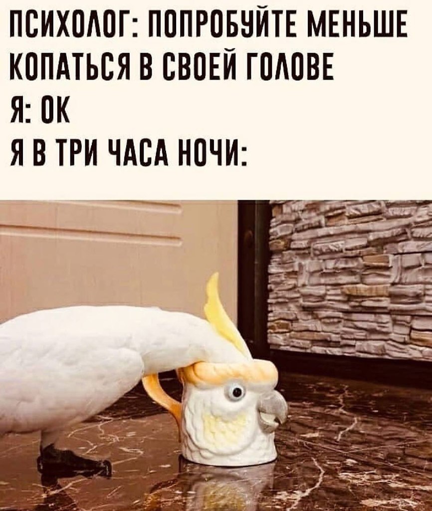    - 23  2022  22:39