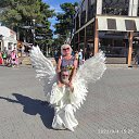 ���� �����, ��������, 61 ��� - ��������� 9 �������� 2022 � ������ ���� ����������