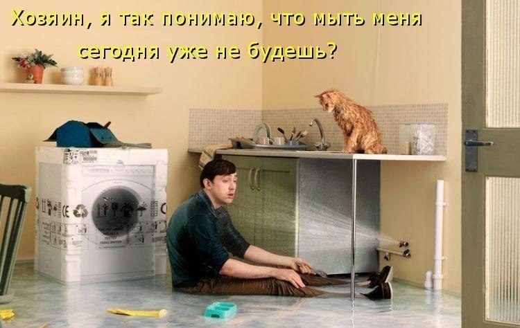   - 22  2022  03:15