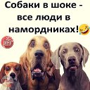  ,  -  1  2022   ɻ