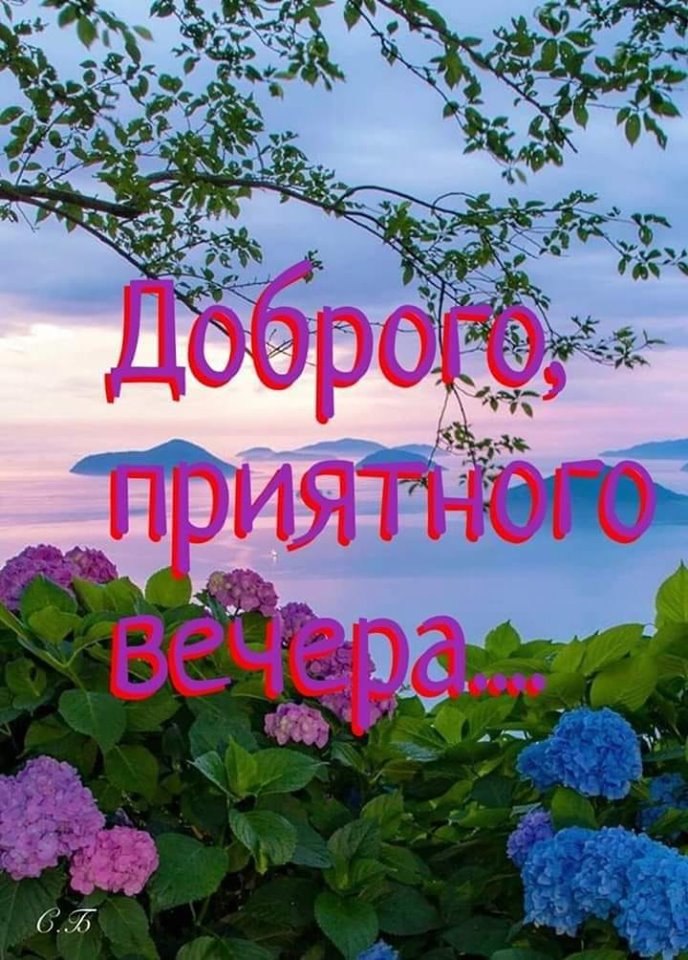   ,    . - 2  2022  19:09 - 2