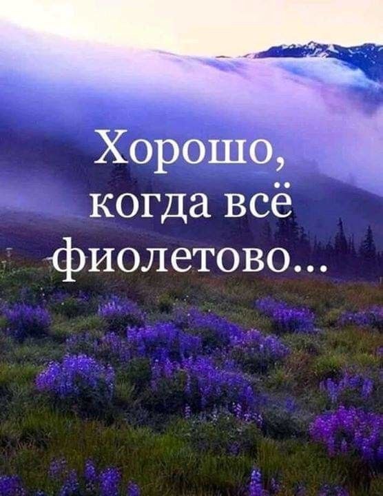   - 23  2022  08:00