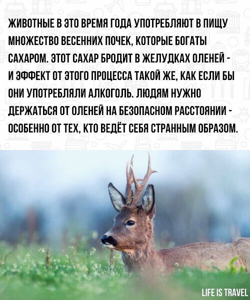 LIFE -  - 31  2022  18:46 - 3