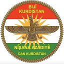 ���� �����, ������, 62 ���� - ��������� 10 ������� 2022