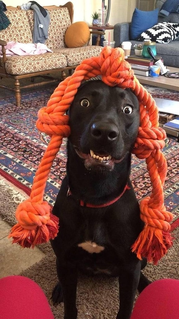   -  