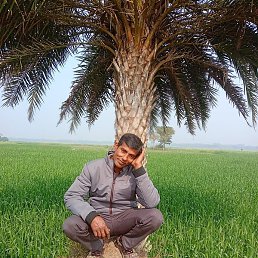 Alex, , 90 