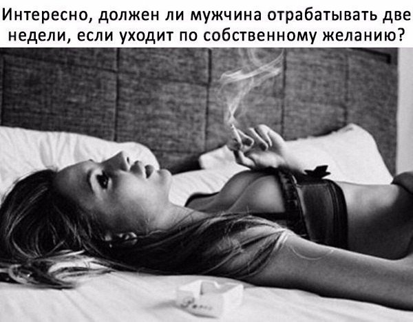  ,  .© - 4  2022  19:08