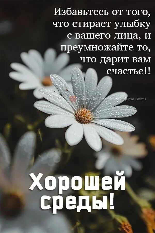 ***Victoria Viktorovna*** - 7  2022  06:38