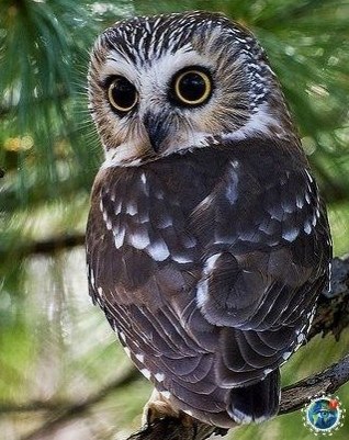 ���ap��e co�����.���� ������������ ��� - 2