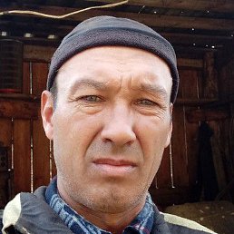 ������, ������, 50 ���