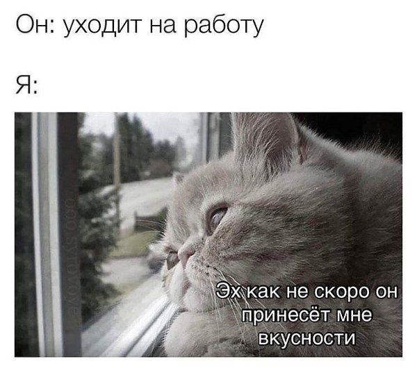    - 3  2023  02:12