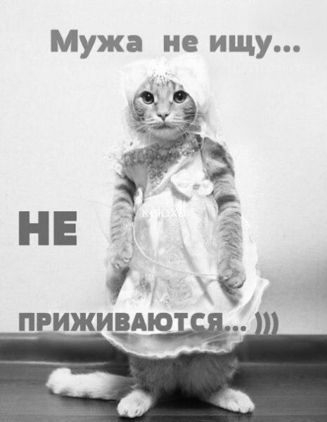   - 10  2022  21:33