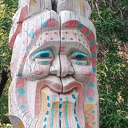 ��������, �����������, 41 ���