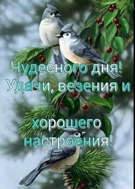   ,    . - 28  2022  21:10 - 3