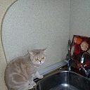 ���� Sasha, ������ ��������, 56 ��� - ��������� 14 �������� 2022 � ������ ���������